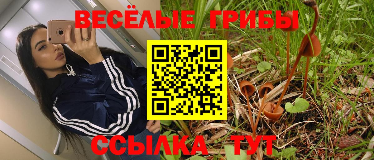Рузаевка  Cocaine  COCAIN  МАРИХУАНА  Кетамин  МЕФ кристаллы  Вход с VPN  Где купить  APVP СОЛЬ кристаллы  Экстази  Гашиш 