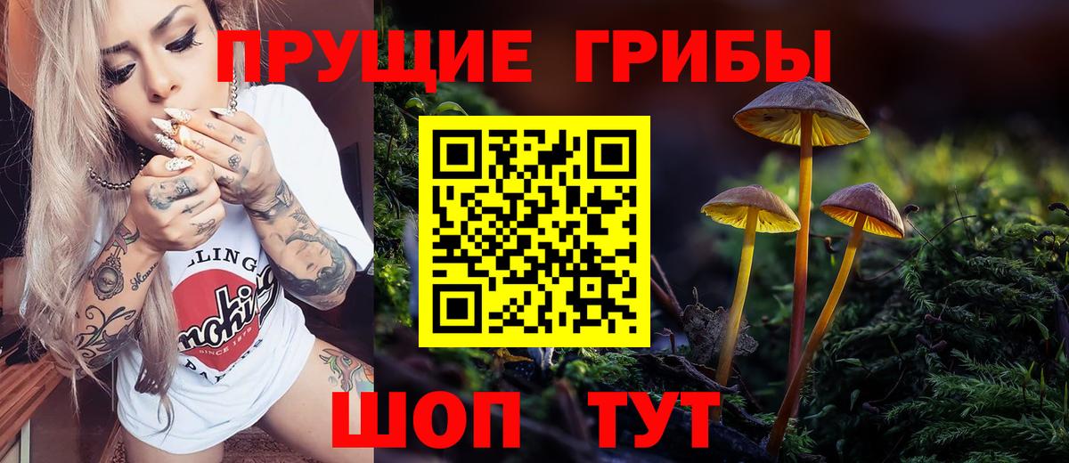 Рузаевка  Галлюциногенные грибы Cubensis  Вход с VPN 