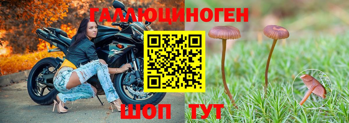 Галлюциногенные грибы ЛСД Рузаевка